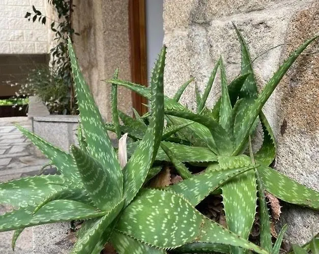 Semesterbostad O Lar Do Bispo Arbo